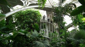 Kew Gardens Palm House interior 2 (1)     